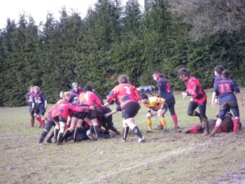 IMGP0223