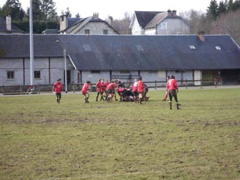 IMGP0231