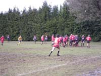IMGP0225