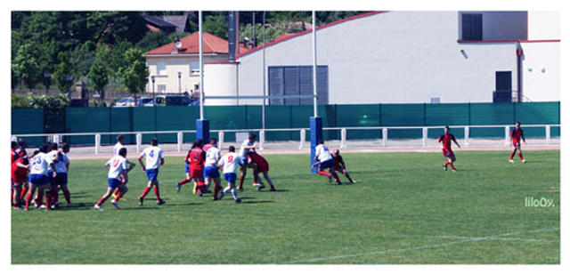 19 copie