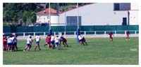 19 copie