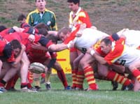 IMG_1273