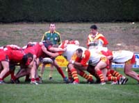 IMG_1279