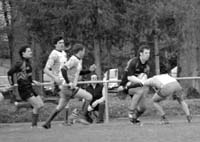 20370_320143441131_821221131_3380346_6154029_n