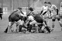 20370_320143456131_821221131_3380347_7586055_n
