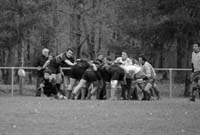20370_320143471131_821221131_3380348_3381966_n