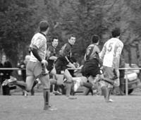 20370_320143736131_821221131_3380373_3109304_n