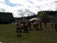 Photo0142