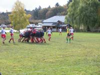 IMGP0868