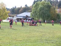 IMGP0869