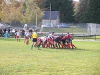 IMGP0871
