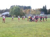 IMGP0878