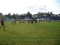 IMGP0883