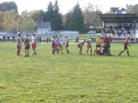 IMGP0885