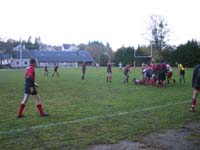 IMGP0897