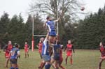 DSC03987