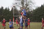 DSC03990