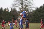 DSC03991