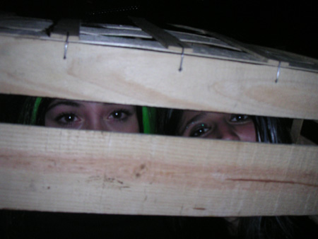 PICT0050